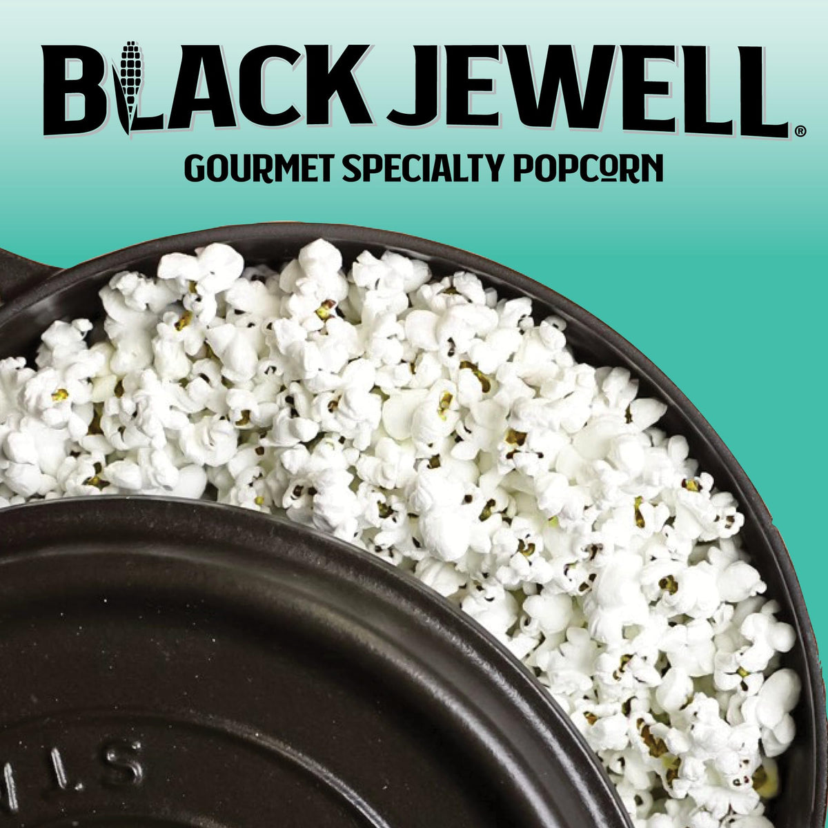 Black Jewell Organic White Popcorn Kernels, Organic Select White, 28.35Oz (Pack Of 2)