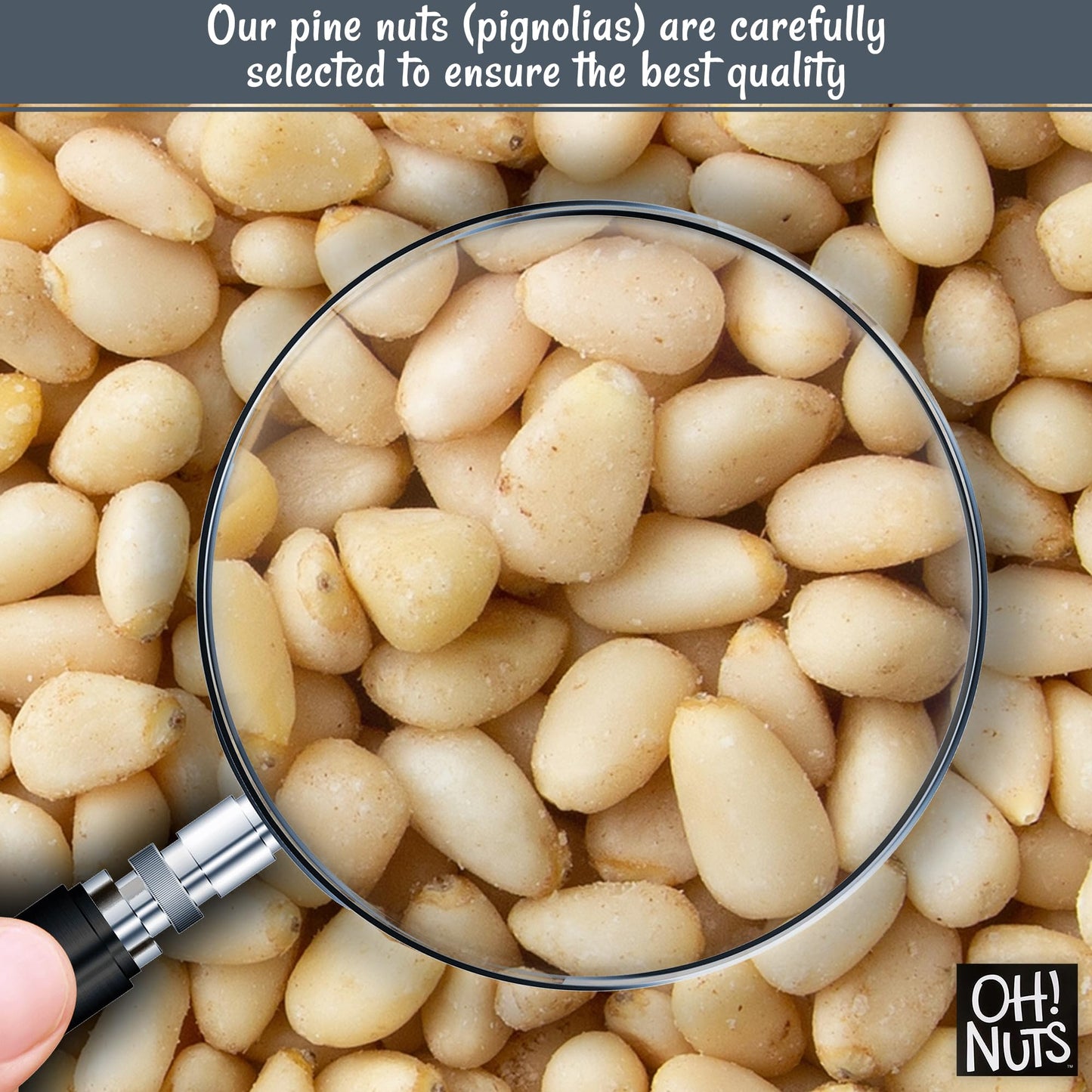 Oh! Nuts Pine Nuts (Pignolias) - 8Oz Bag Of Bulk Fresh Raw Pine Nuts For Baking, Snacking, Salads & Pesto - Keto-Friendly, Vegan