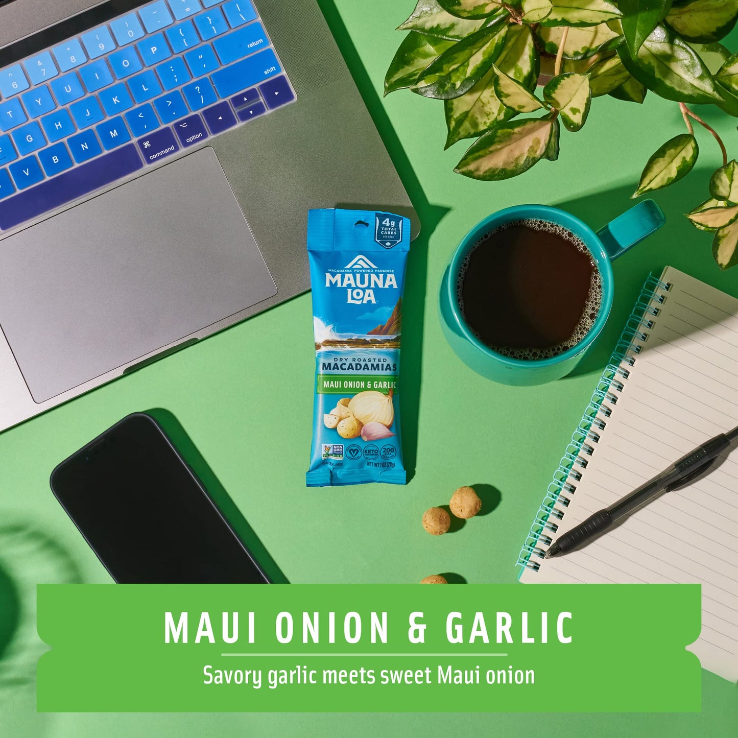Macadamia Nuts, Garlic Onion Flavor, Snack Mac Mini Pouches, Single Serve 1 Oz Bags (Pack of 12)