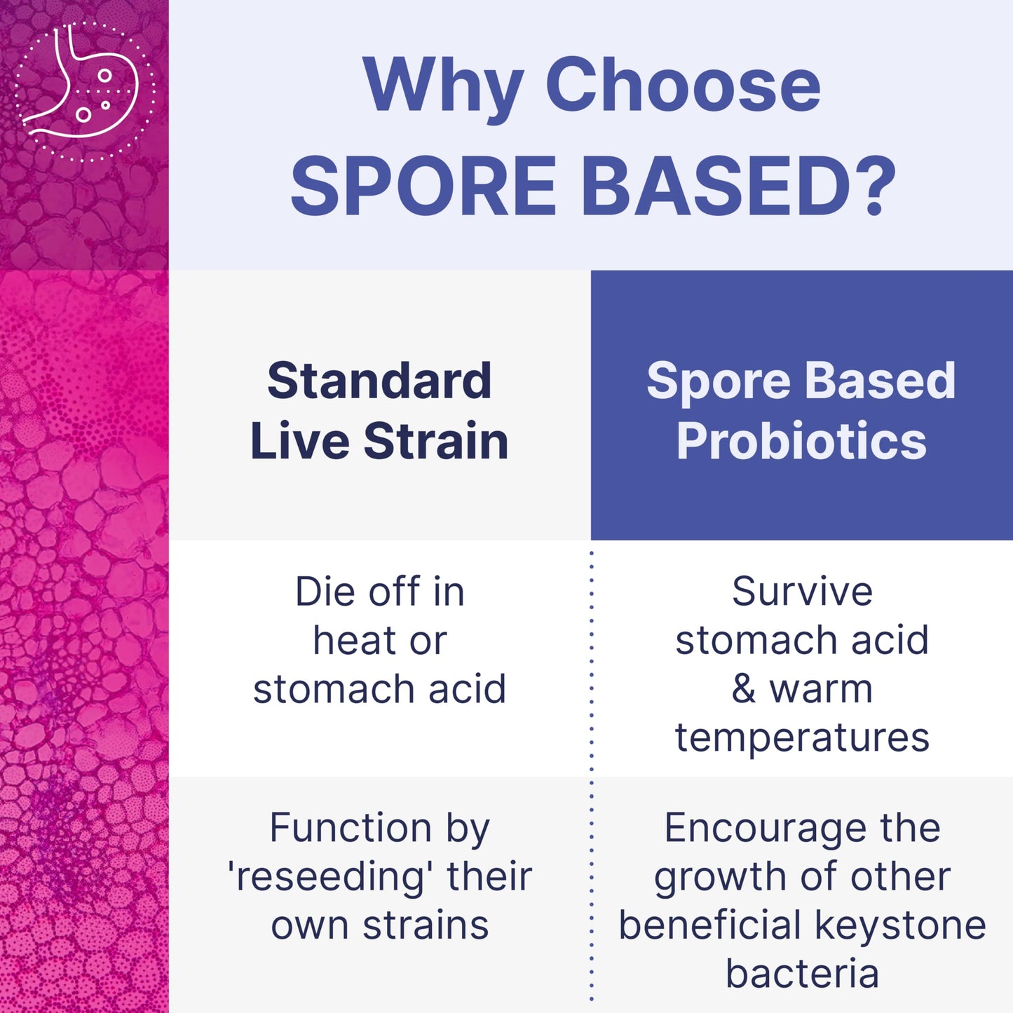 Spore-Based Probiotic for Women & Men — Gut Health & Digestive Support