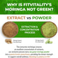 Moringa Capsules|300 Capsules|Moringa Oleifera|10,000mg