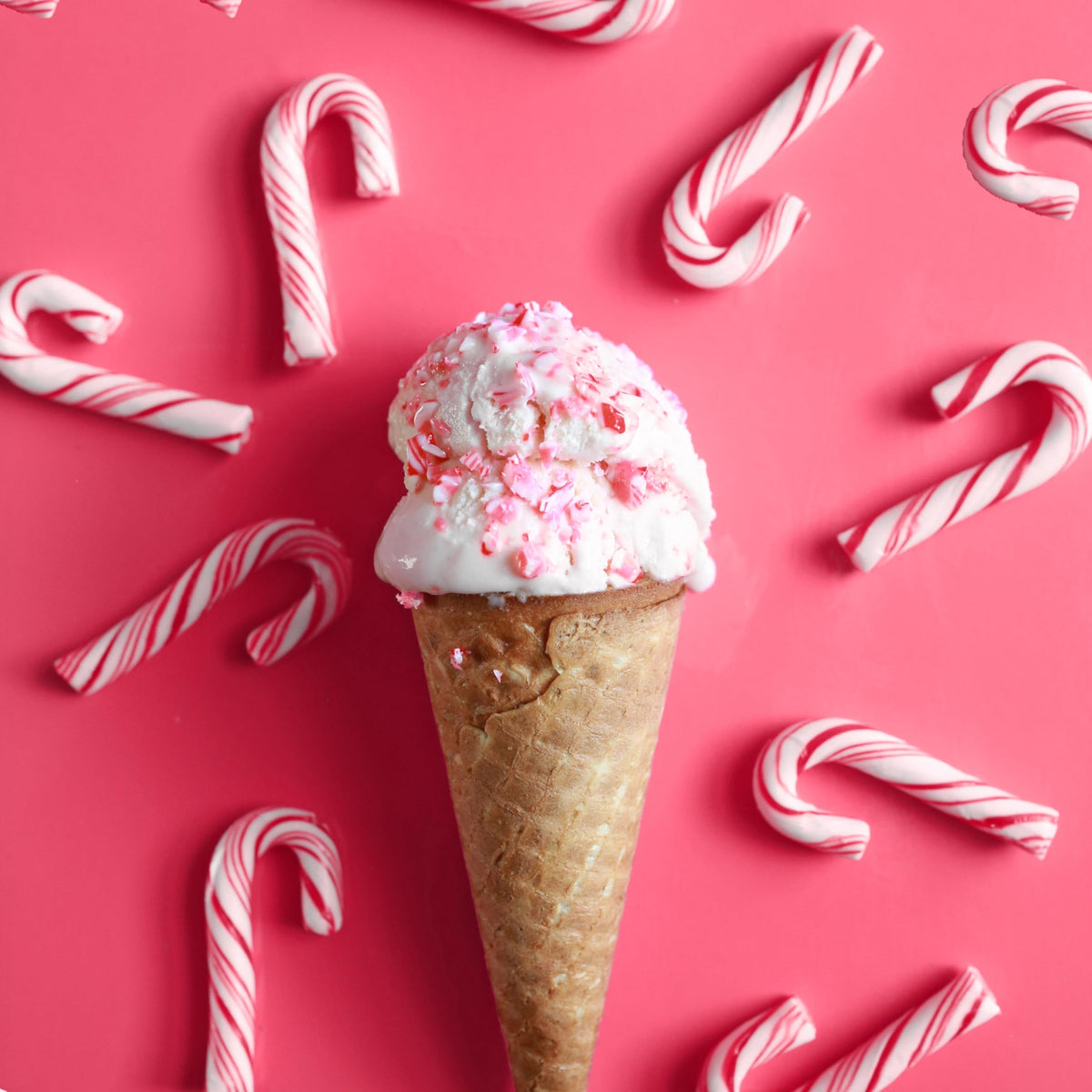 Crushed Peppermint Candy Pieces  Red & White  Mint Flavored Bits for Baking  Toppings  Decorating  and Holiday   4 Lbs in Reusable Jar