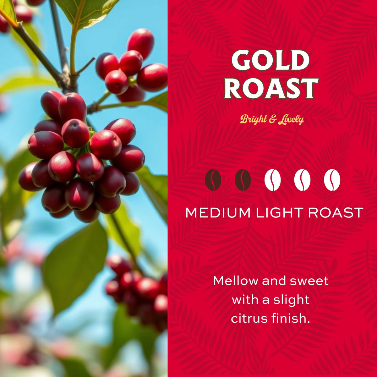 Lion Coffee Gold Roast Ground Coffee, Medium-Light Roast, 10 Ounce Bag