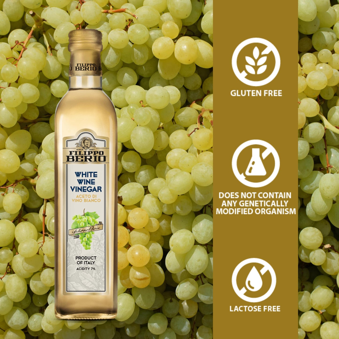 Filippo Berio White Wine Vinegar, Gluten Free, Non-GMO, 16.9 Fl Oz