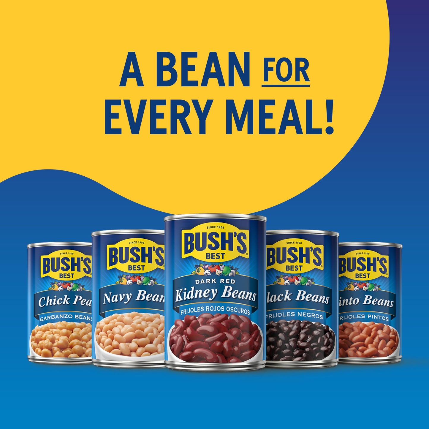BUSH S BEST 16 oz Canned Garbanzo Beans (Chickpeas), Source of Plant Based Protein and Fiber, Vegetarian, Low Fat, Gluten Free,