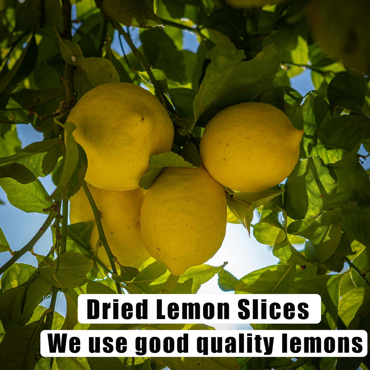 Dried Lemon Slices 2.5Oz/70G,Natural Dehydrated Lemon Slices For Cocktails Garnish/Potpourri/Cake Decoration/Crafts,Dried Citrus