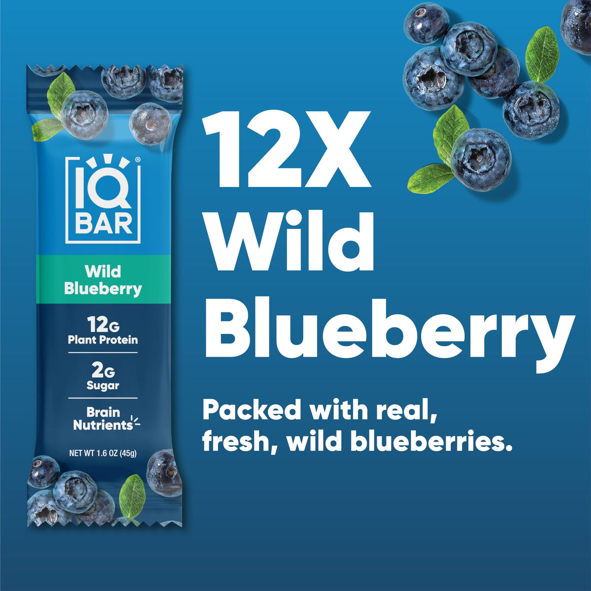 IQBAR Brain and Body Plant Protein Bars - Wild Blueberry - 12 Count, Low Carb, High Fiber, Gluten Free, Healthy Vegan Snacks - L
