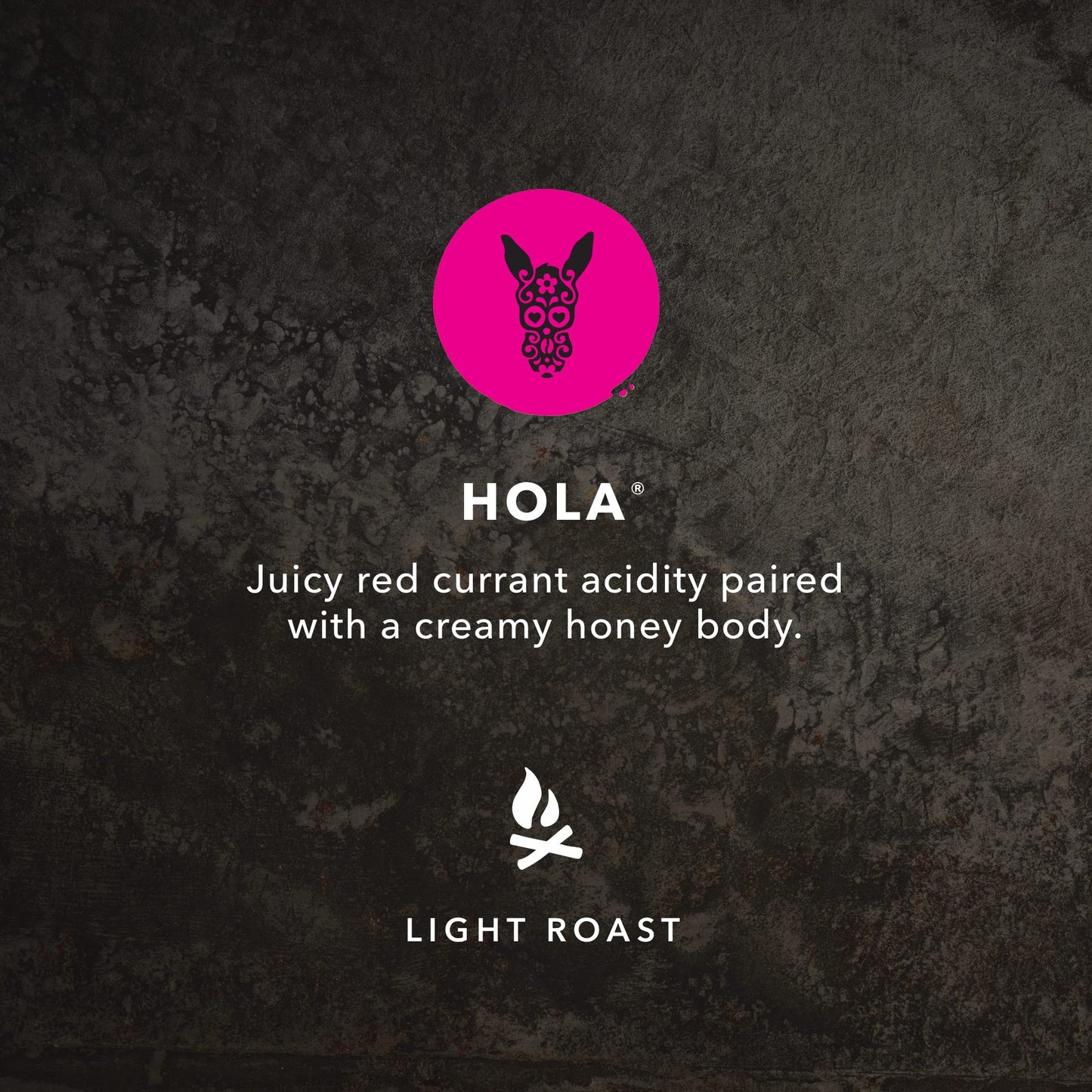 Kicking Horse Coffee Hola, Light Roast, Ground, 284 g (Pack of 6) - Certified Organic, Fairtrade, Kosher