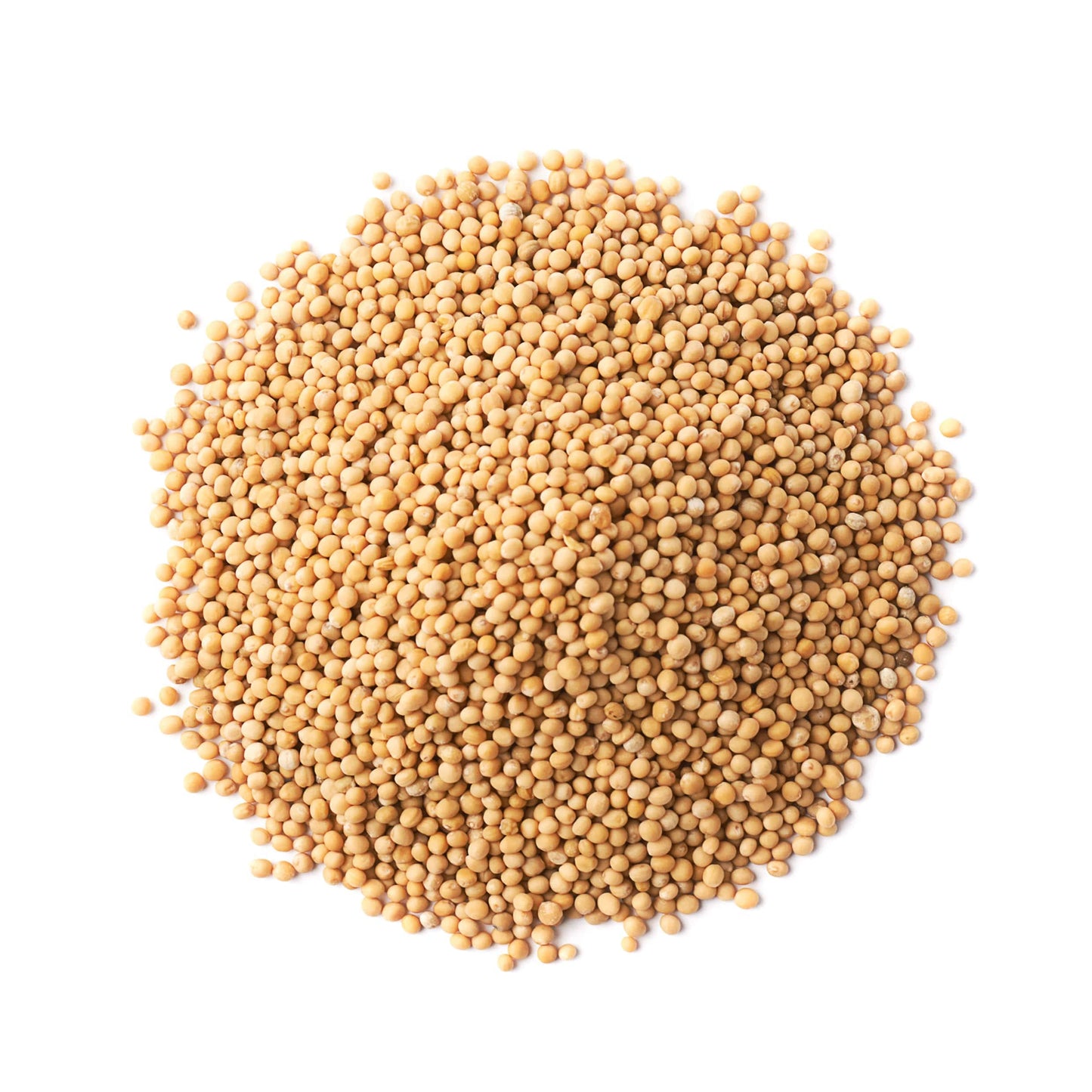 Food To Live Organic Yellow Mustard Seeds, 10 Pounds Non-Gmo, Whole Dried Spice, Vegan, Kosher, Bulk, Pungent Flavor. High In Se
