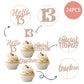 24 Pcs 13Th Birthday Cupcake Toppers Official Teenager Hello 13 Thirteen Cupcake Picks 13Th Birthday Cake Decorations Supplies R