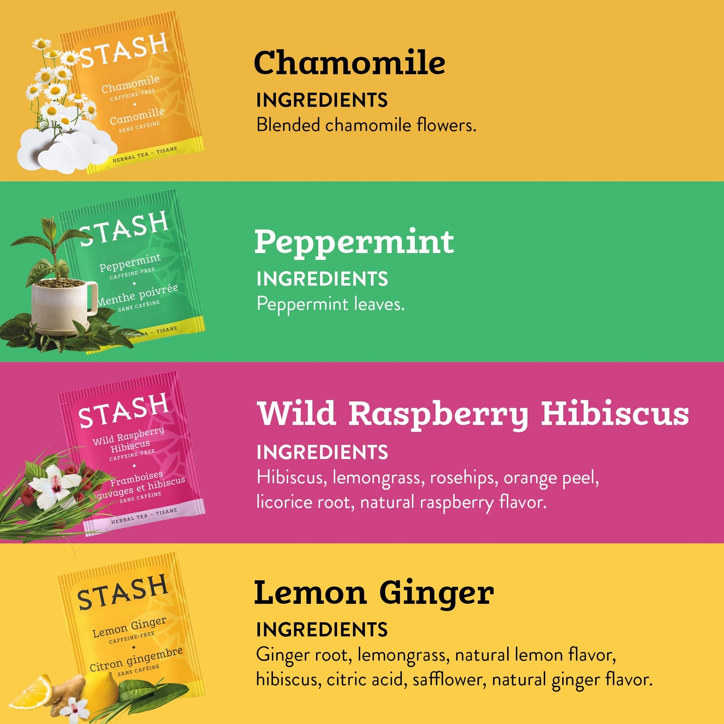 Stash Tea Day to Night Sampler - Assorted Specialty Teas, 7 Flavors, 35 Count