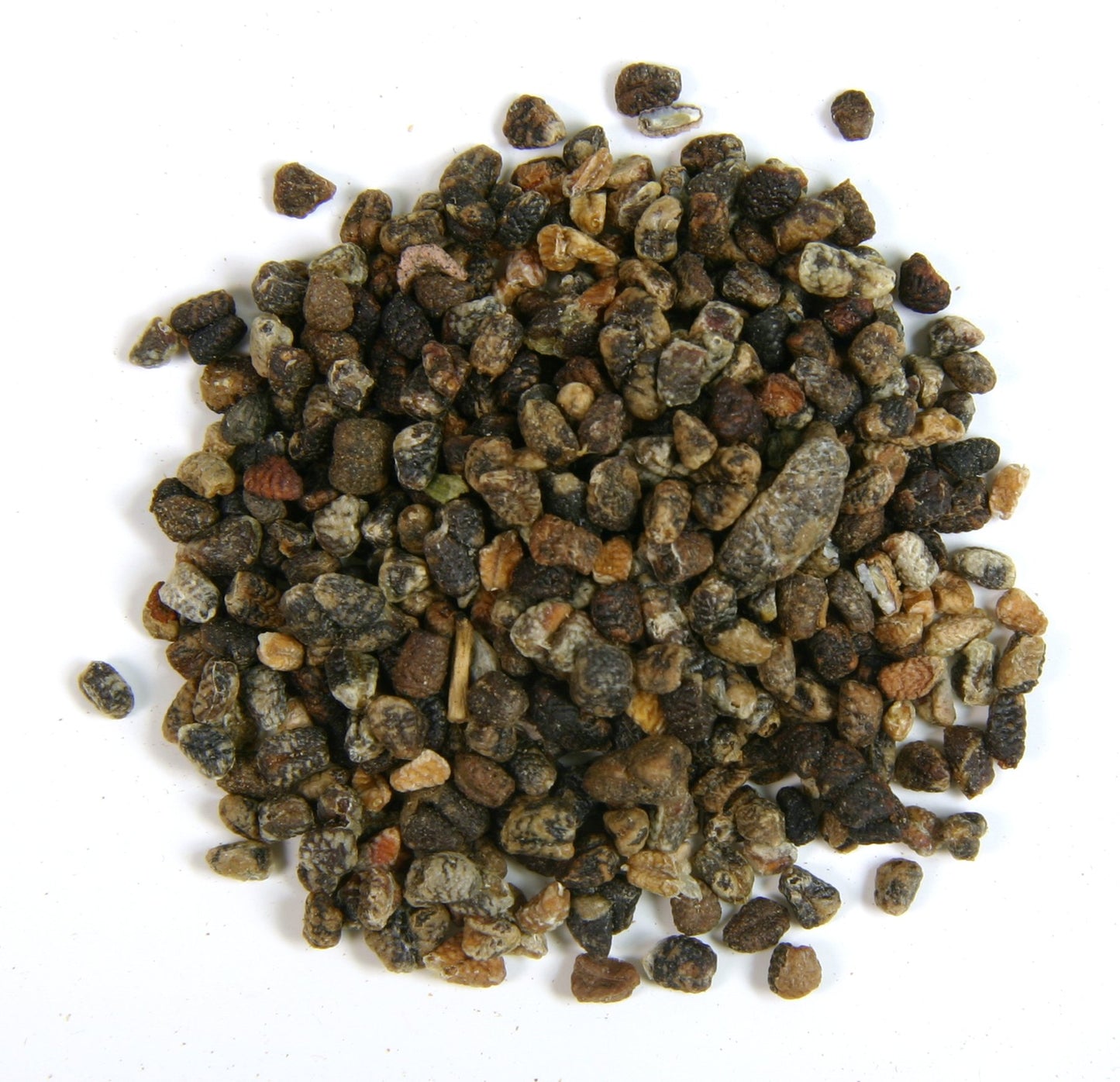 Frontier Co-op Cardamom Seed Powder, 1-Pound Bulk Bag, Decorticated, Aromatic, Subtly Spicy-Sweet, No ETO, Non Irradiated
