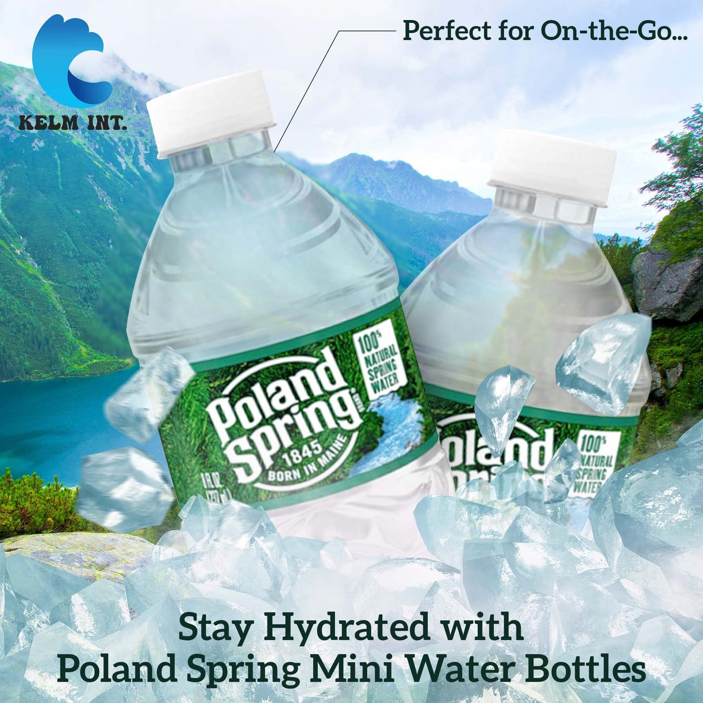 Kelm Int. Poland Spring Mini Water Bottles - 48 Pack, 8 Fl Oz, BPA-Free, Recyclable, Ideal for On-the-Go and Home Office Use