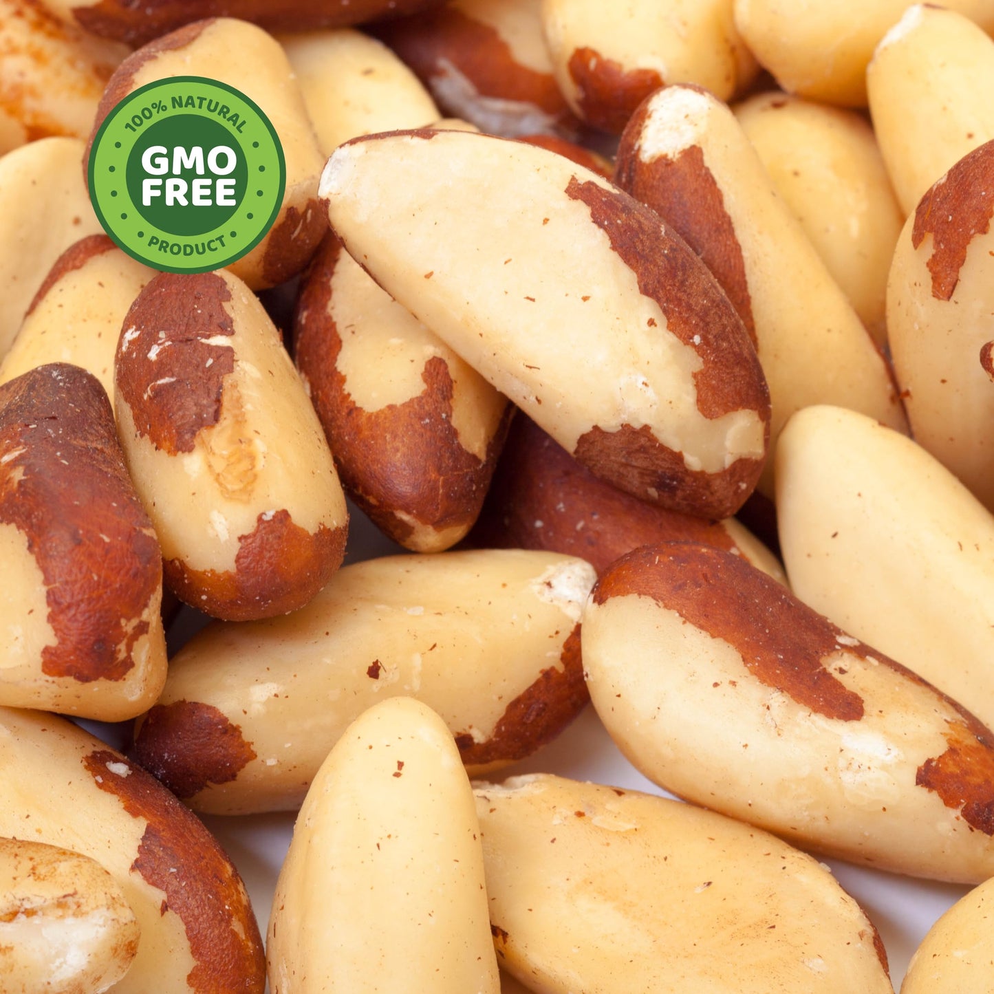 PuroRaw Brazil Nuts Raw 1lb  Raw Brazil Nuts. Brazil Nuts Unsalted - Brazil Nuts- All Natural  Non-GMO  Vegan Brazil Nuts- Brazil Nuts Bulk 16oz