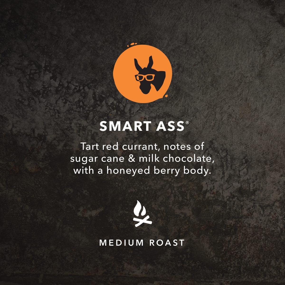 Kicking Horse Coffee Smart Ass, Medium Roast, Ground, Certified Organic, Fairtrade, Kosher, Black,284 g (Pack of 6)