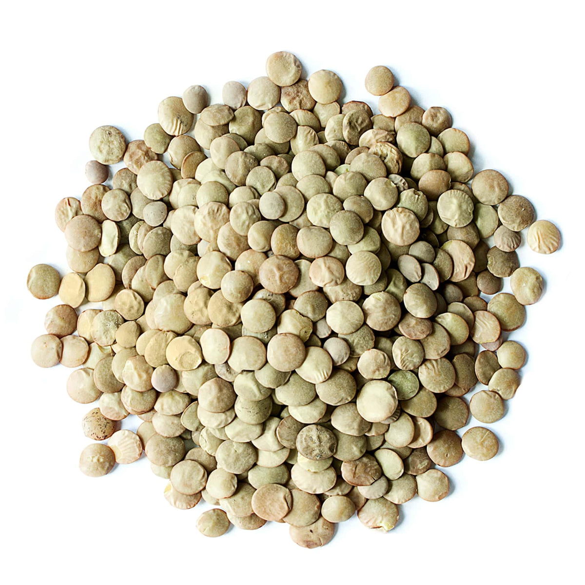 Food To Live - Whole Green Lentils, 5 Pounds Dried Raw Lentils, Sproutable, Kosher, Vegan. Rich In Dietary Fiber, And Protein. N