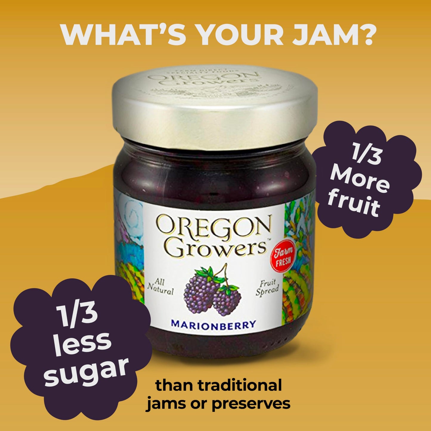 Oregon Growers Marionberry Fruit Spread - Marionberry Jam Made In Oregon, Blackberry Jam, Blackberry Fruit Spread, All Natural Ingredients, Non-Gmo - 12 Oz (Pack Of 6)