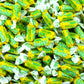 Lemon Lime Frooties - Tootsie Roll Chewy Candy - 360 Piece Count, 38.8 oz Bag (Pack of 2)