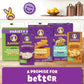 Annies Shells And Real Aged Cheddar, Made With Organic Pasta And Real Cheese, 4 Ct, 24 Oz