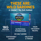 Wild Planet Wild Sardines in Water, No Salt Added, Tinned FIsh, Sustainably Wild-Caught, Non-GMO, Kosher, Gluten Free, Keto and
