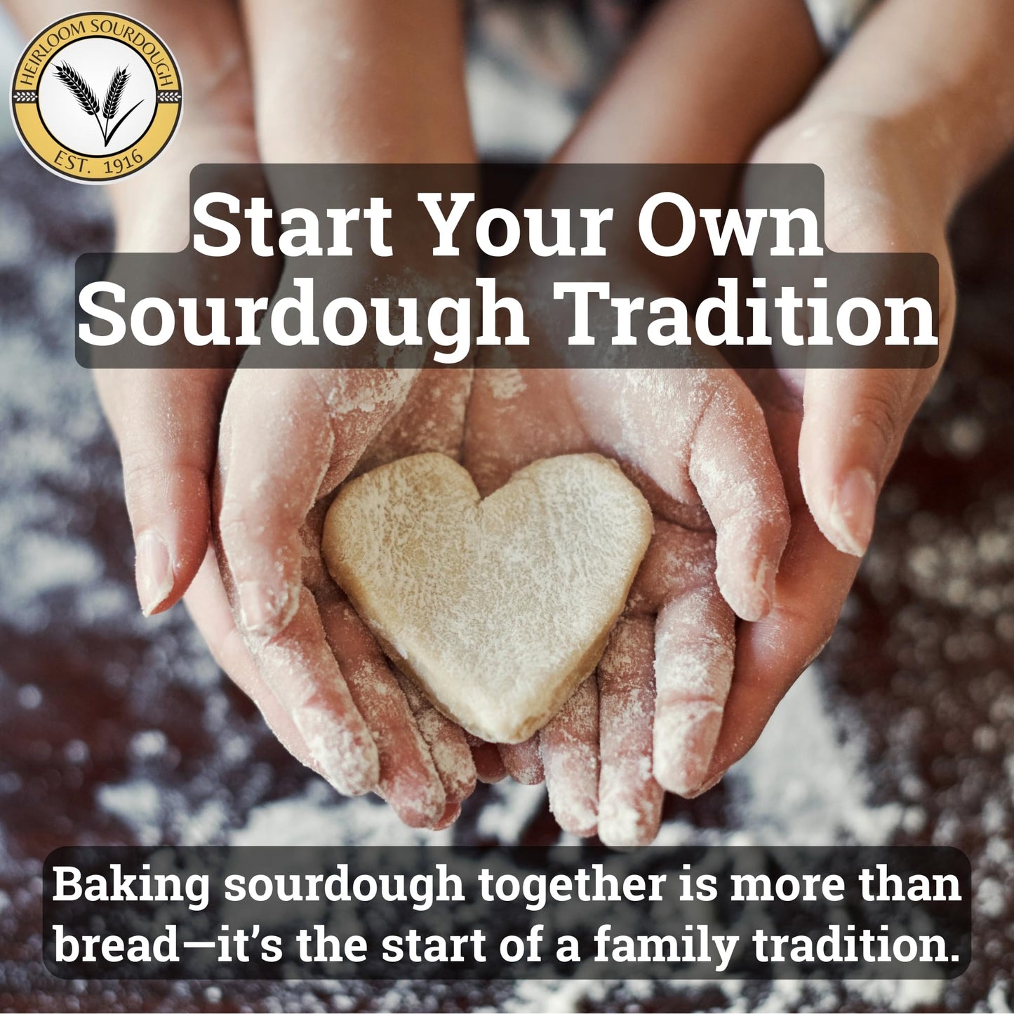 Generic 375-Year-Old French Sourdough Starter | Easy Instructions | 2 Ounce Pack