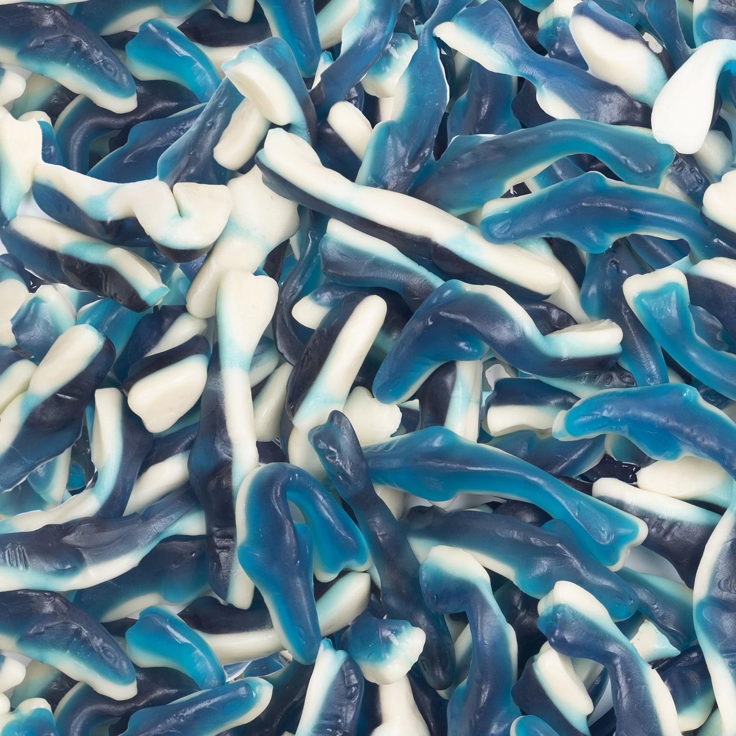 CANDY BREAK Gummy Candy - Blue Sharks - Fruity & Sweet - 4 oz Bags - Pack of 12