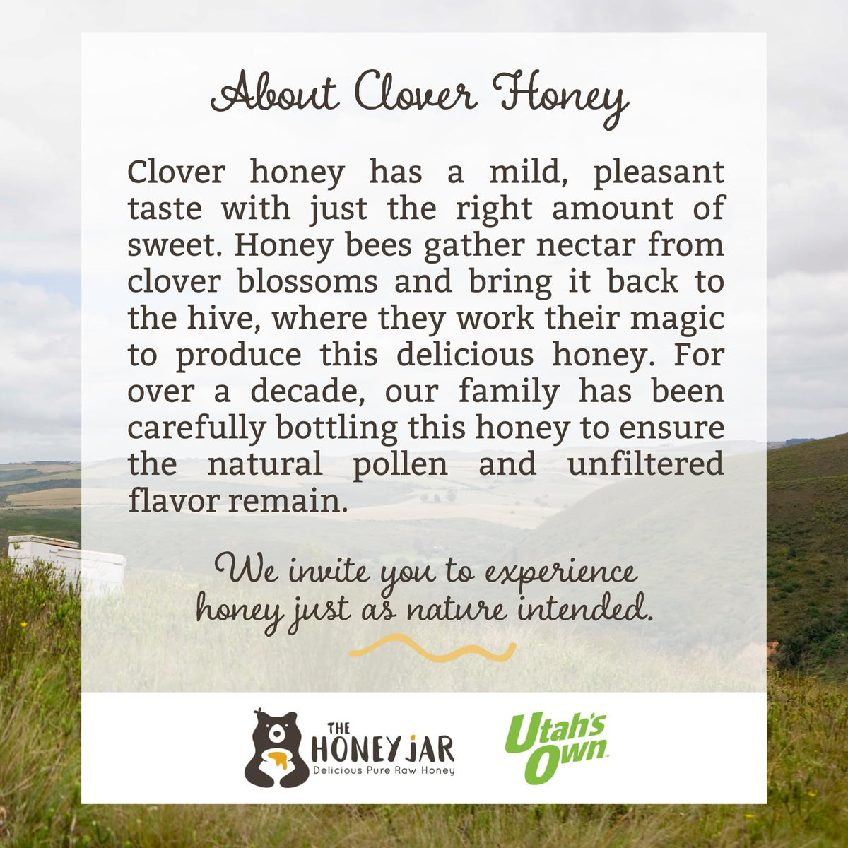 The Honey Jar Raw Clover Honey - Unfiltered And Unpasteurized Honey - Pure Honey Sourced From Family-Owned Farms In The Usa - 2
