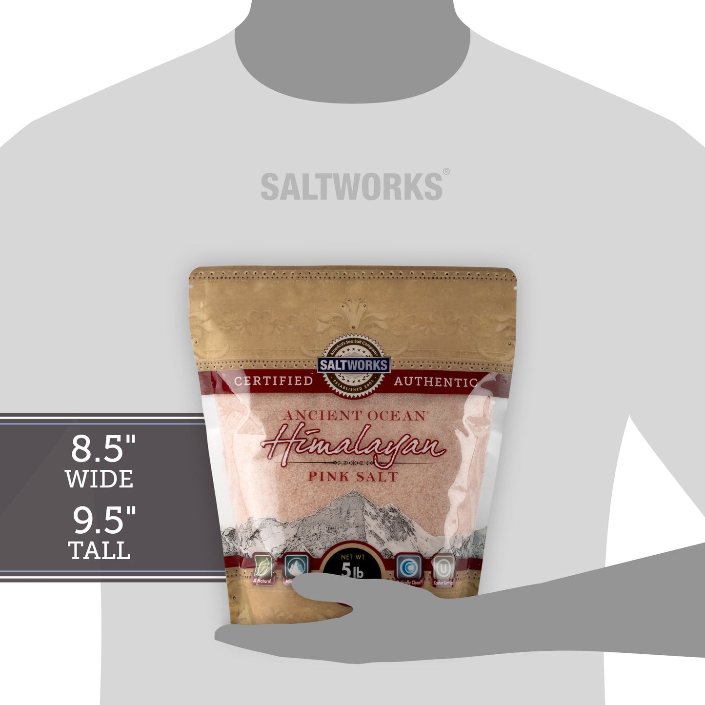 Saltworks Ancient Ocean Himalayan Pink Salt, Fine Grain, 5 Pound Bag