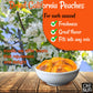 Dried Peaches California | 2 Lb - Dried Fruit Slices | No Sugar Added | Packed In New York Zip-Seal Bag For Exceptional Freshness By Oh Nuts
