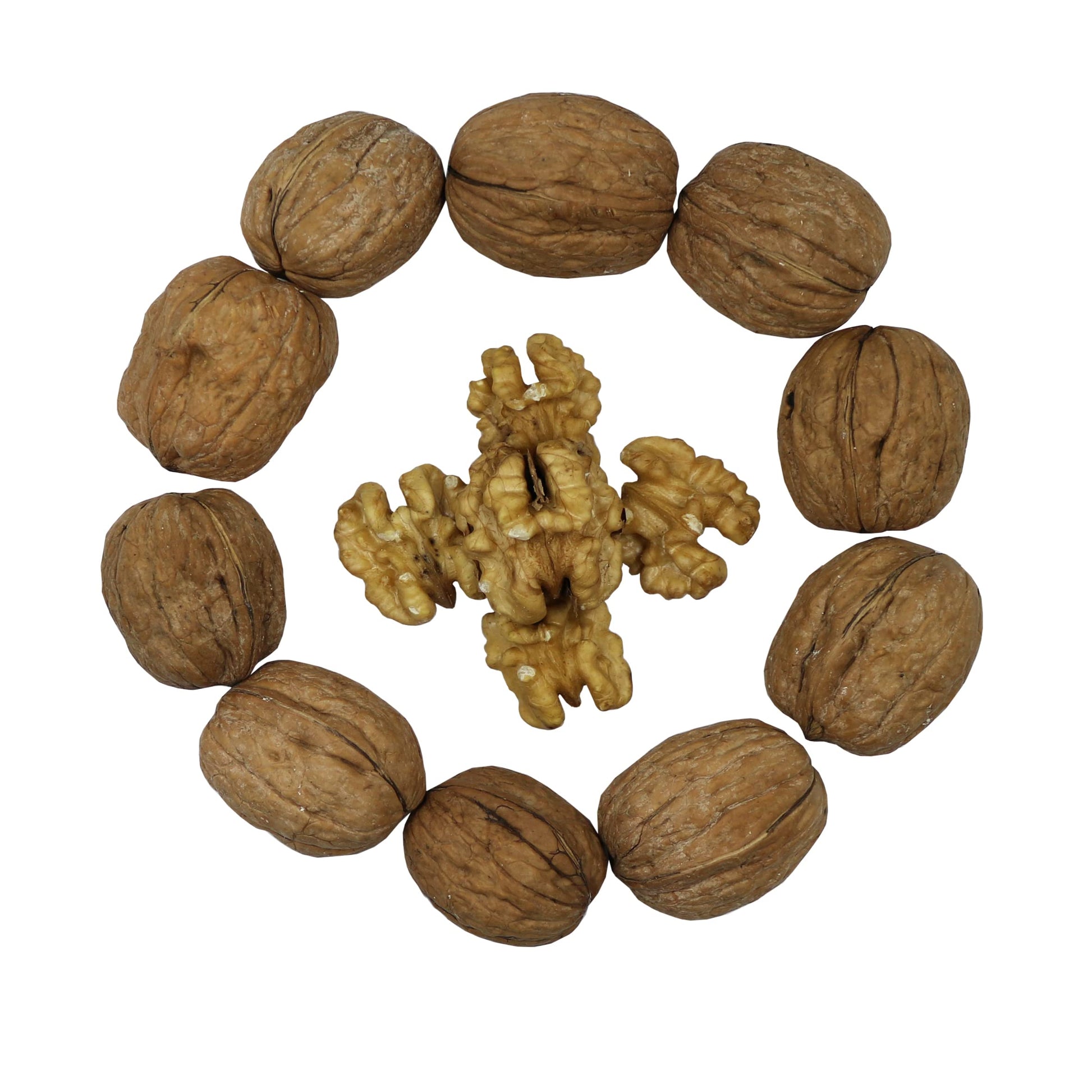 Smarty Stop Raw Walnuts in Shell (5 Pound (Pack of 1))