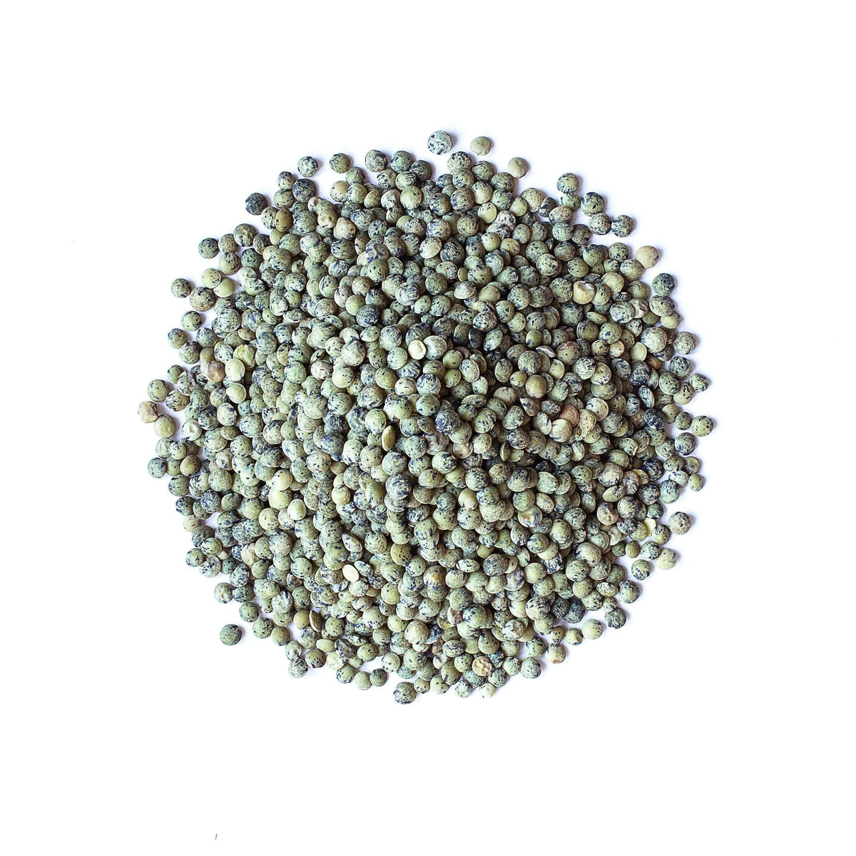 Food to Live French Green Lentils, 3 Pounds, Raw, Vegan, Kosher, Sproutable, Great for Soups and Curries