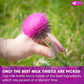 Freshdrinkus, Enhanced 135 Milk Thistle Tea Bags, 100% Natural & Pure From Milk Thistle Seeds. Milk Thistle Seed Herbal Tea. Made With Natural Material Tea Bags. No Sugar, No Caffeine, No Gluten, Vegan.