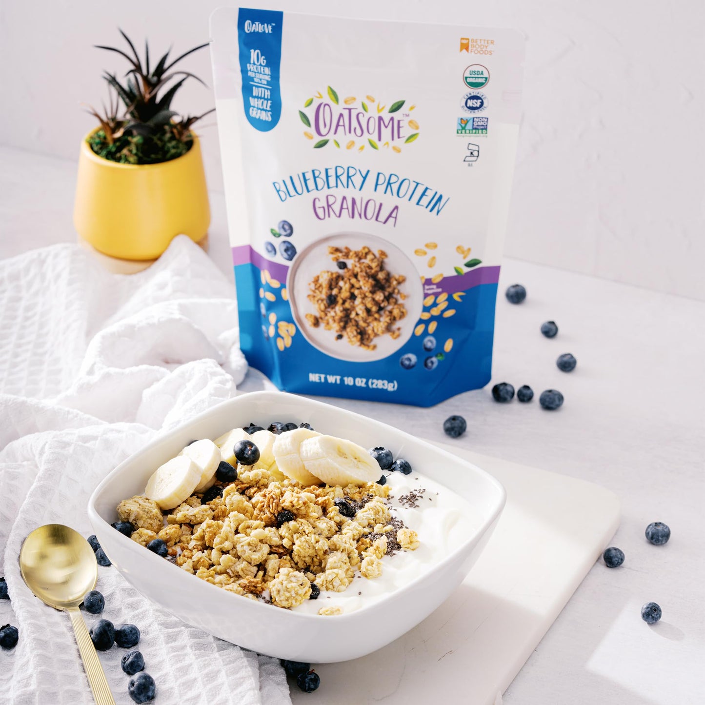 Oatsome Blueberry Protein Granola, 10g Protein, Gluten Free, 10 Oz Bag
