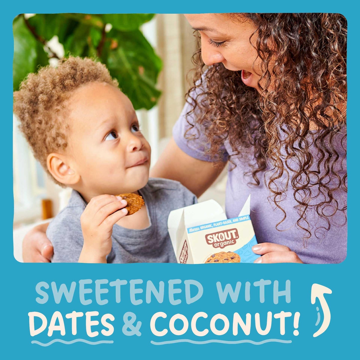 Skout Organic Oatmeal Chocolate Soft Baked Cookies (3 Pack) | Soft Baked Cookies | Plant-Based | Vegan | Gluten, Dairy, & Soy Fr