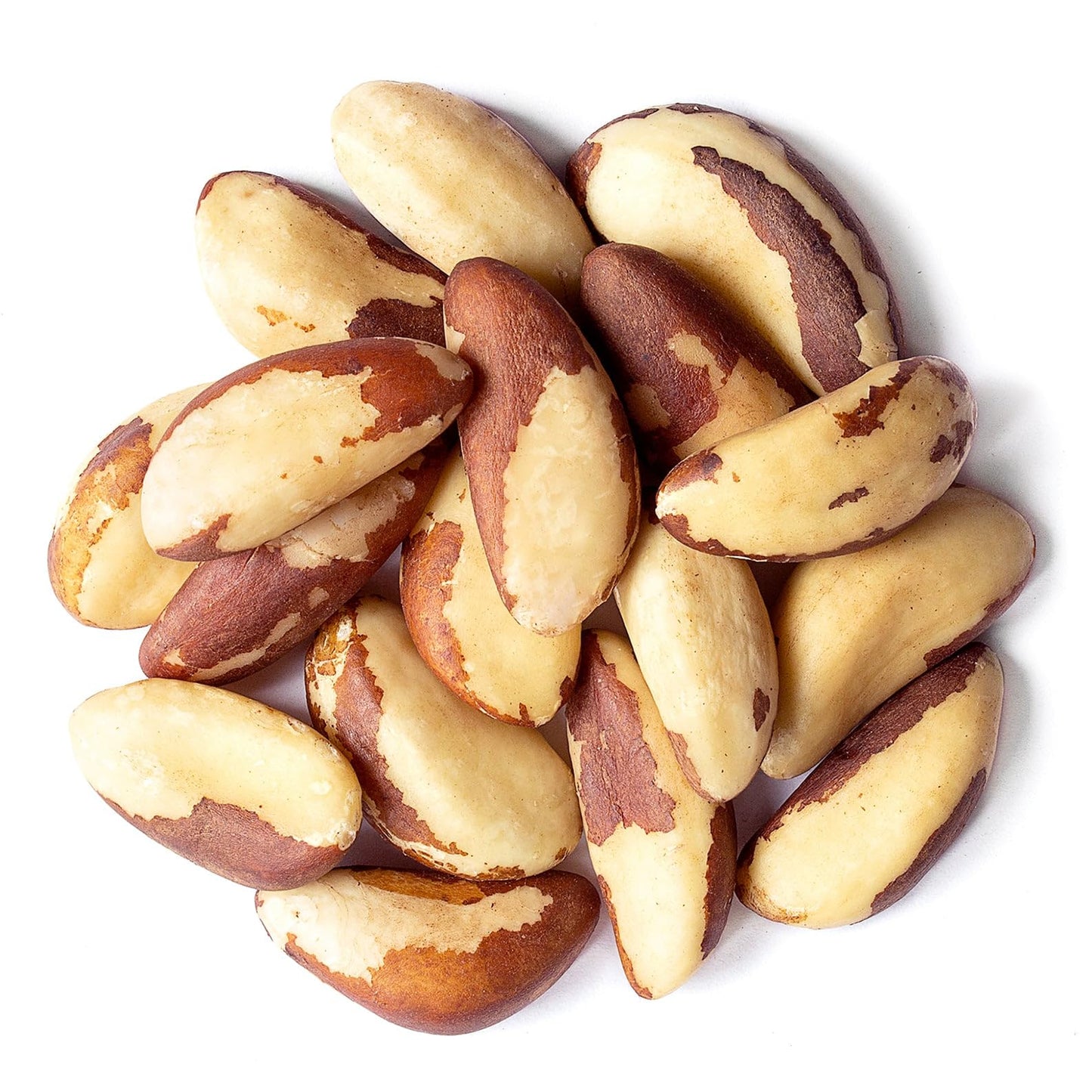 Food to Live Brazil Nuts, Raw, Unsalted, Non-GMO, 18 Pound, Vegan, Keto, Paleo Friendly, Good Source of Selenium