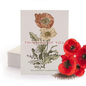Bentley Classic Vintage Art Poppy Packets, Thinking of You Flanders Corn Seeds, Thoughtful Illustrated Flower Design, Eco-Friend