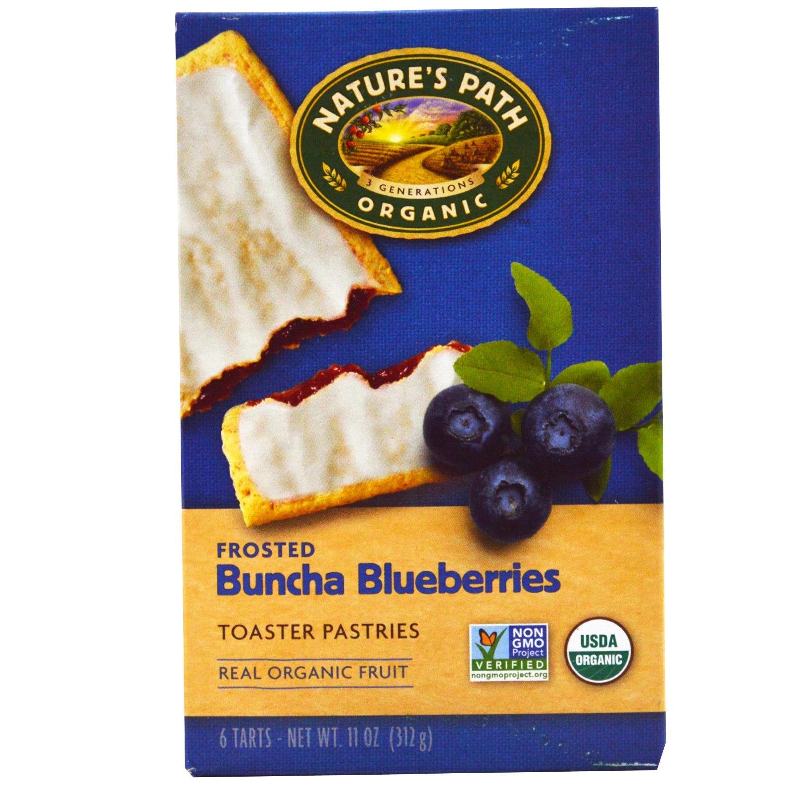 Natures Path Organic Toaster Pastries Blueberry Frosted -- 11 oz