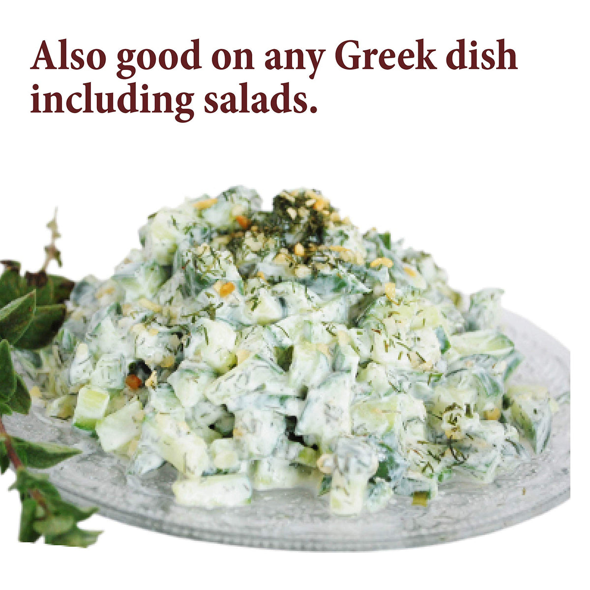 The Spice Way Tzatziki Seasoning Dip 2 oz - Ideal for Dips and Dressings