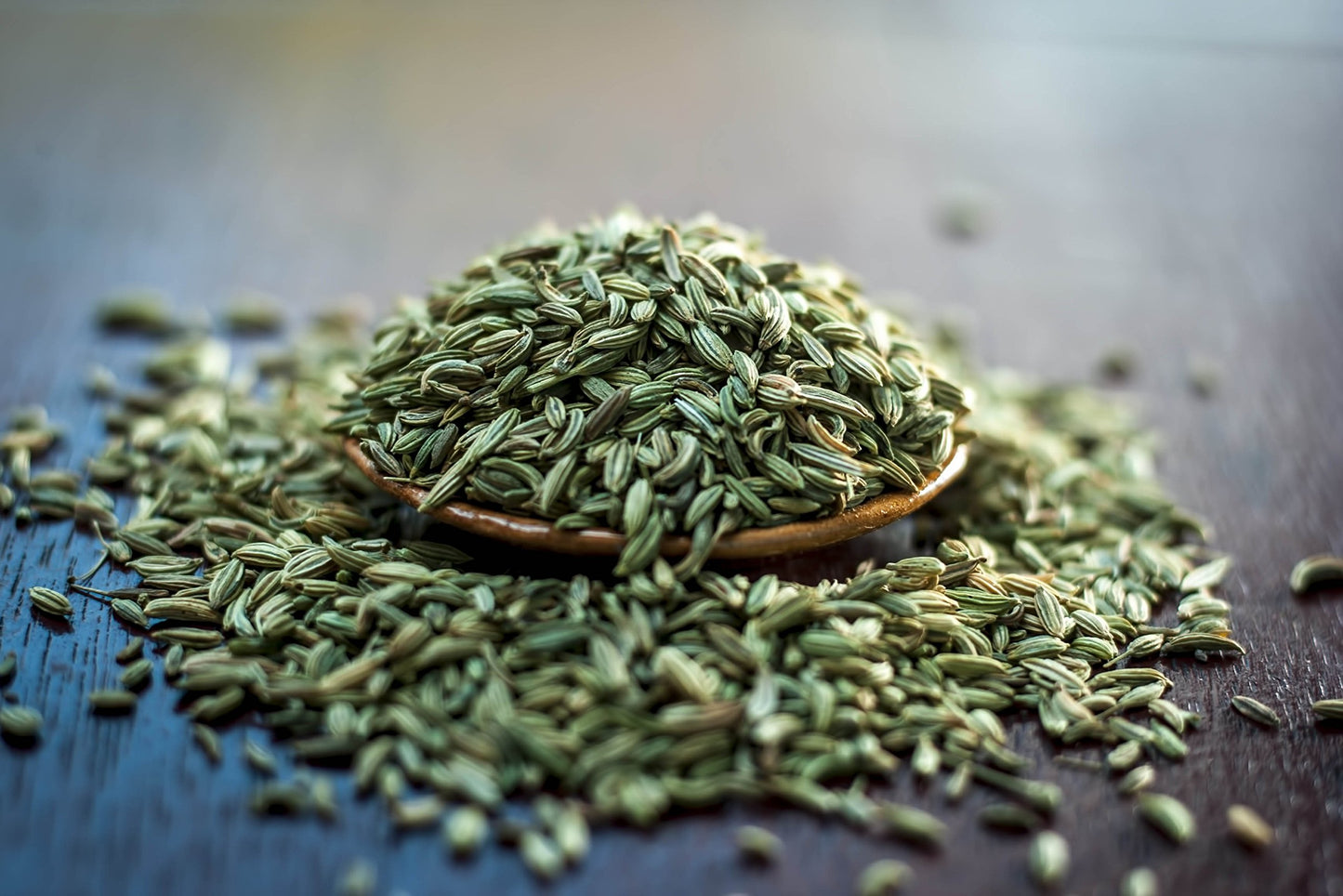 U.S. Wellness Naturals Organic Fennel Seed 1LB (16Oz) Bulk Resealable Bag
