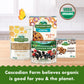 Cascadian Farm Organic Granola, Oats And Honey Cereal, Resealable Pouch, 11 Oz.