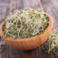 Organic Broccoli Sprouting Seeds by Handy Pantry | 4 oz. Resealable Bag | Non-GMO Broccoli Sprouts Seeds, Contain Sulforaphane