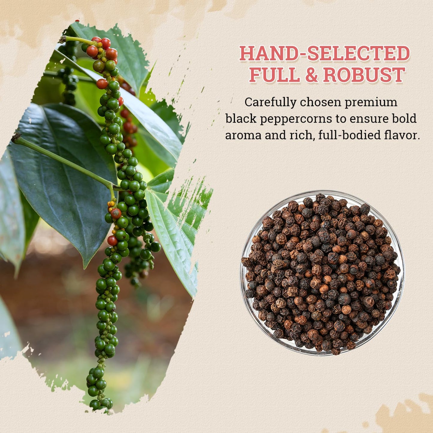 52USA Whole Black Peppercorns & Himalayan Pink Salt Set, 18 oz + 39 oz, Coarse Grain, Perfect for Grinders
