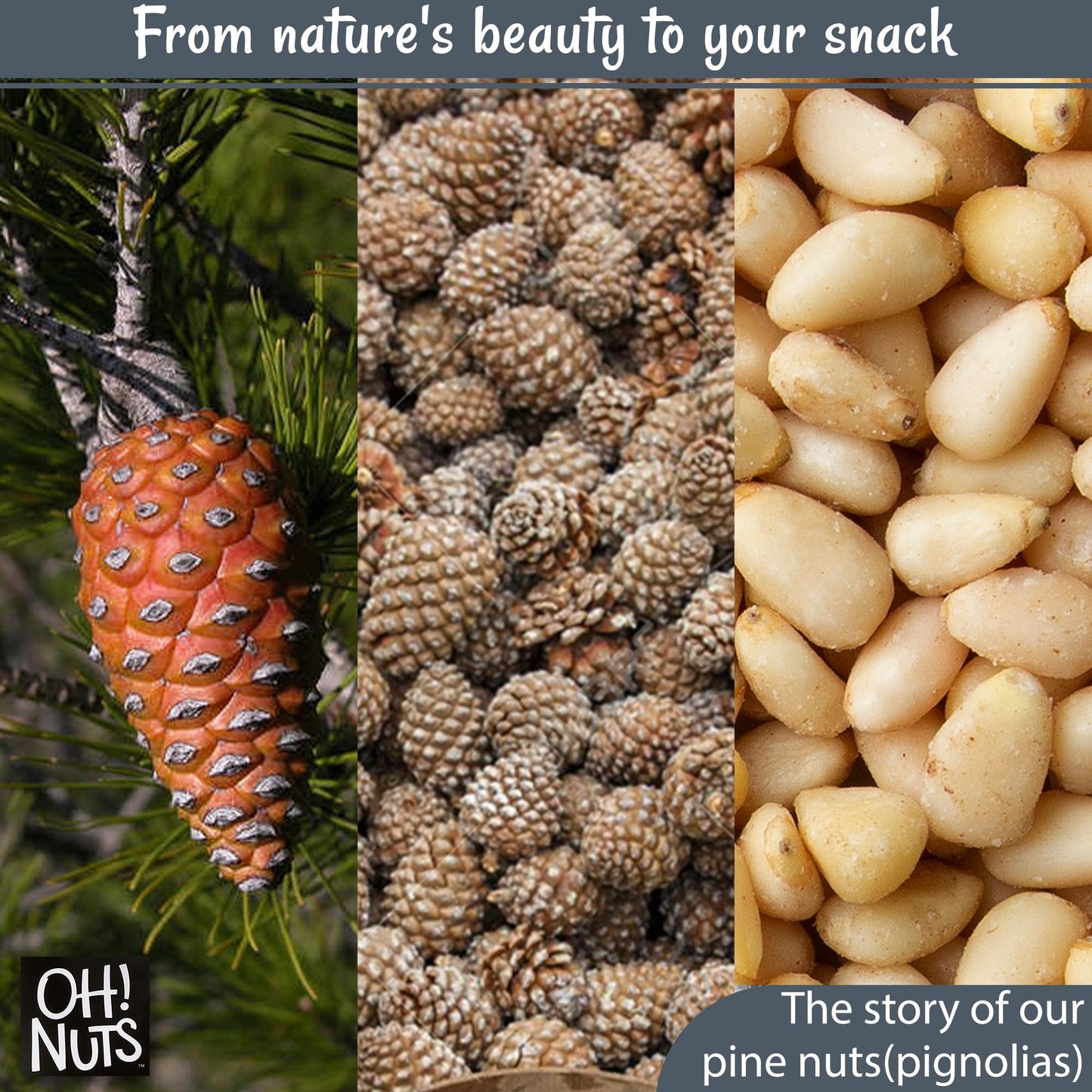 Oh! Nuts Pine Nuts (Pignolias) - 8Oz Bag Of Bulk Fresh Raw Pine Nuts For Baking, Snacking, Salads & Pesto - Keto-Friendly, Vegan
