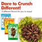 Hotlix Crick-Ettes Edible Bugs (6-Pack) | Salt N Vinegar, Bacon & Cheese, Sour Cream & Onion | Dried Crickets To Eat | Weird Snacks For Humans & Pets | Edible Crickets For Parties & Exotic Snacks