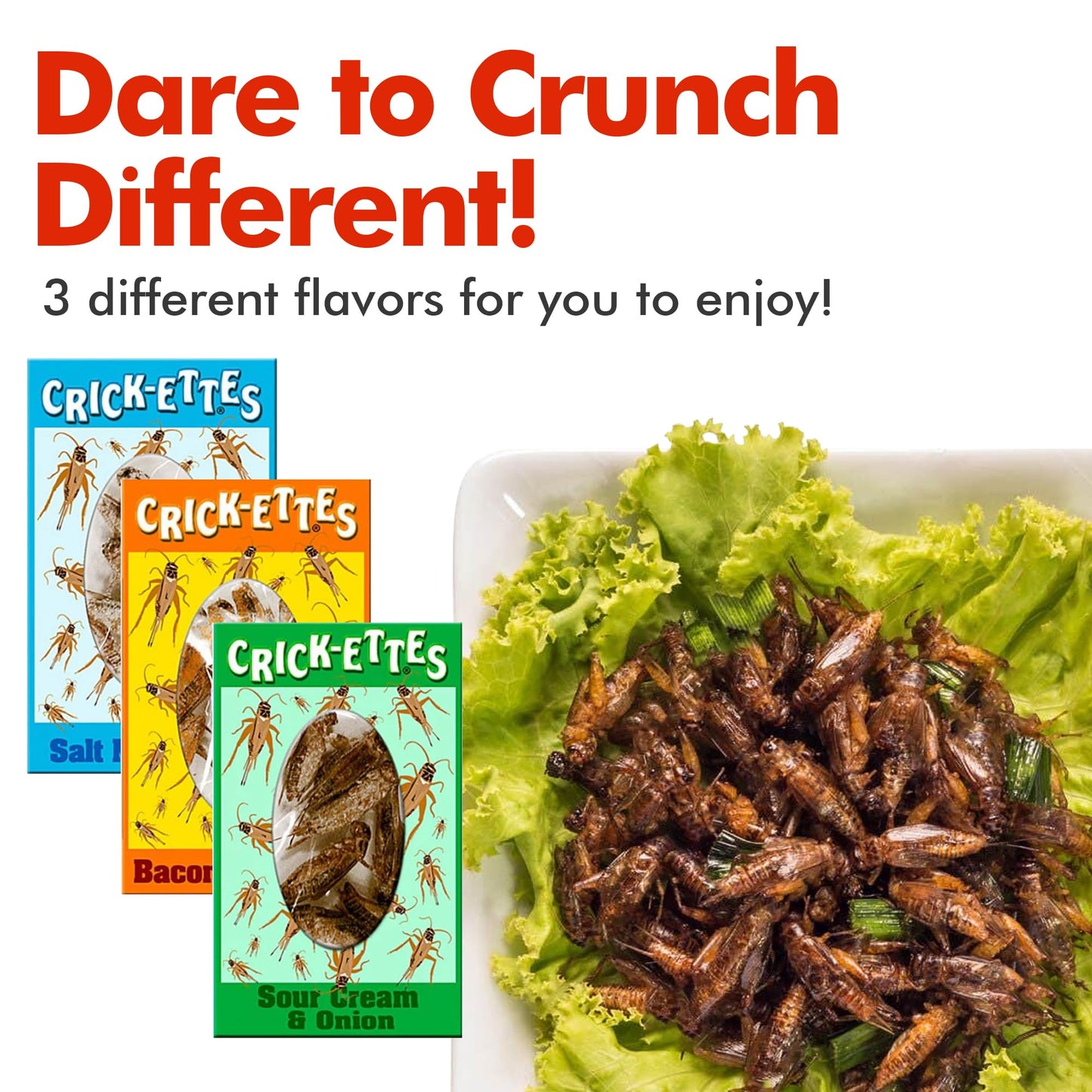 Hotlix Crick-Ettes Edible Bugs (6-Pack) | Salt N Vinegar, Bacon & Cheese, Sour Cream & Onion | Dried Crickets To Eat | Weird Snacks For Humans & Pets | Edible Crickets For Parties & Exotic Snacks