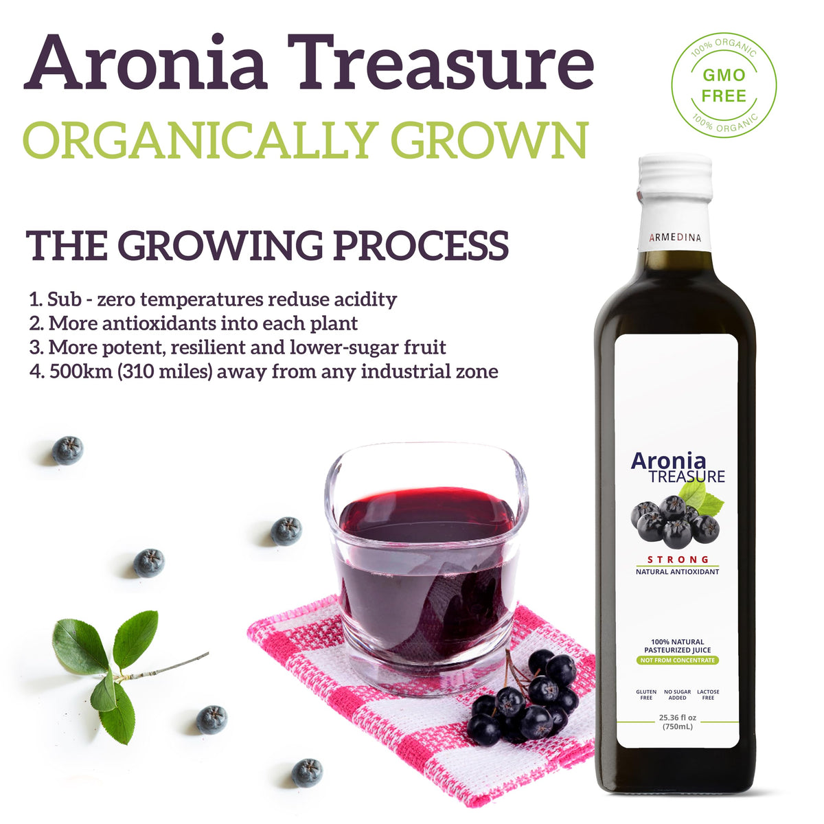Aronia Treasure 100% Aronia Berry Juice - Rich in Antioxidants, Gluten-Free, Vegan, 25.36 Fl Oz