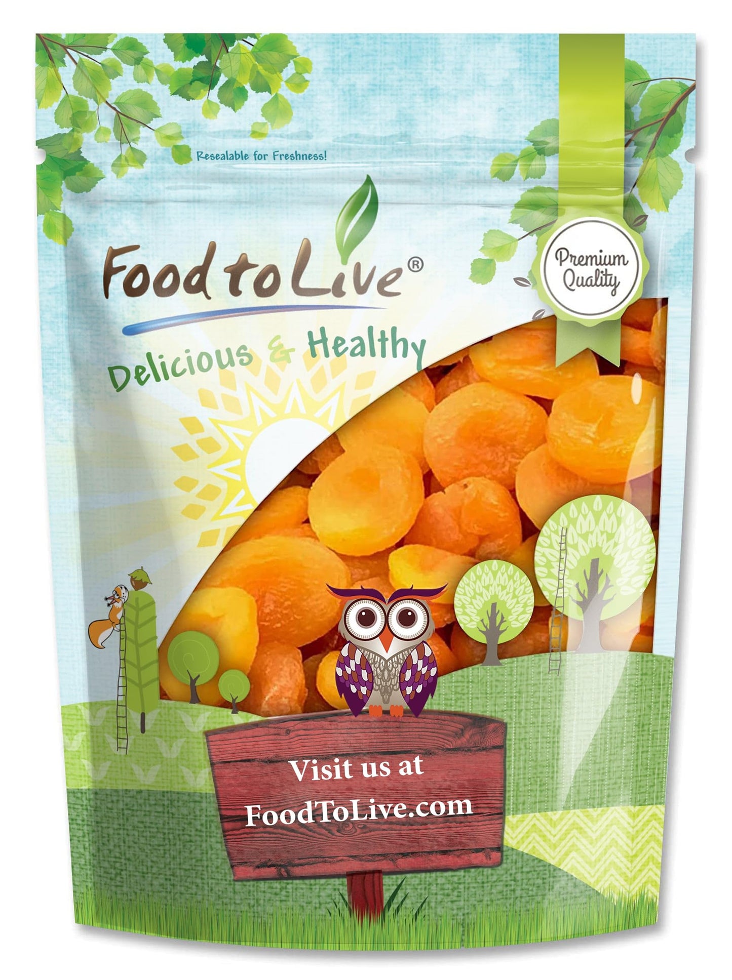 Food to Live - Dried Apricots, 1 Pound Kosher, Vegan, Bulk, Product of Turkey