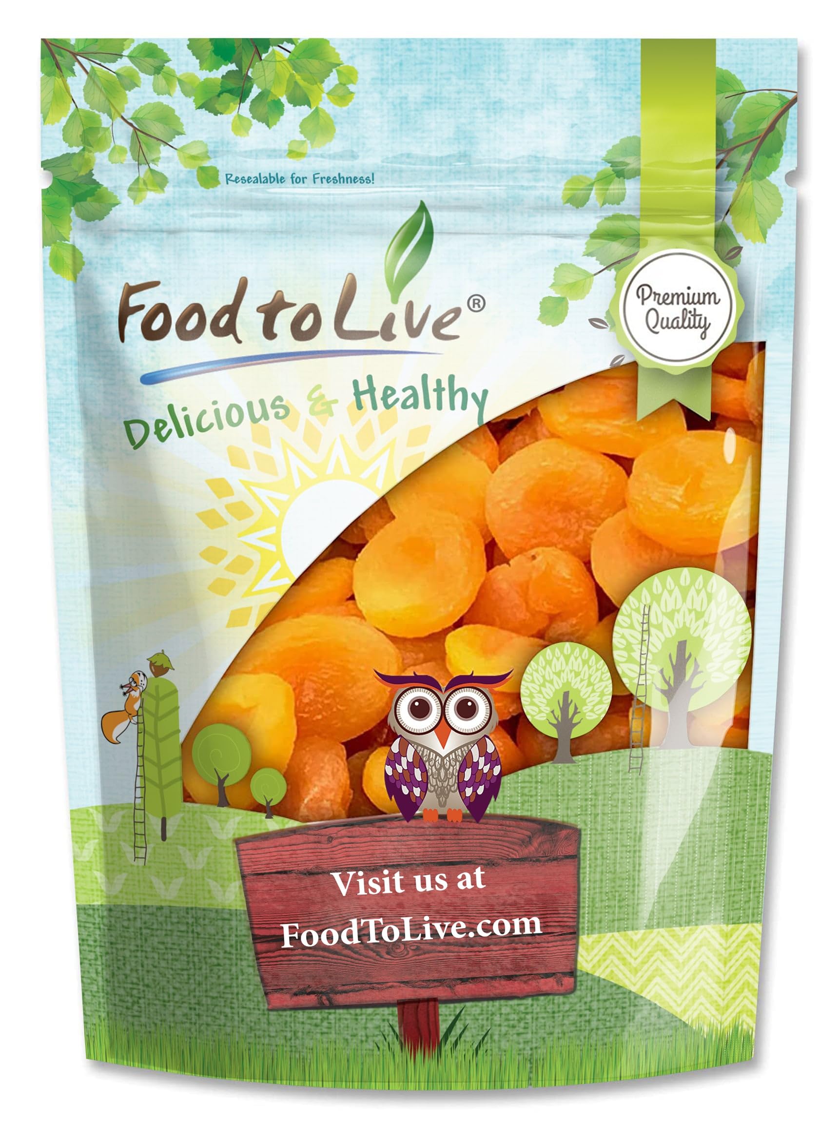 Food to Live - Dried Apricots, 1 Pound Kosher, Vegan, Bulk, Product of Turkey