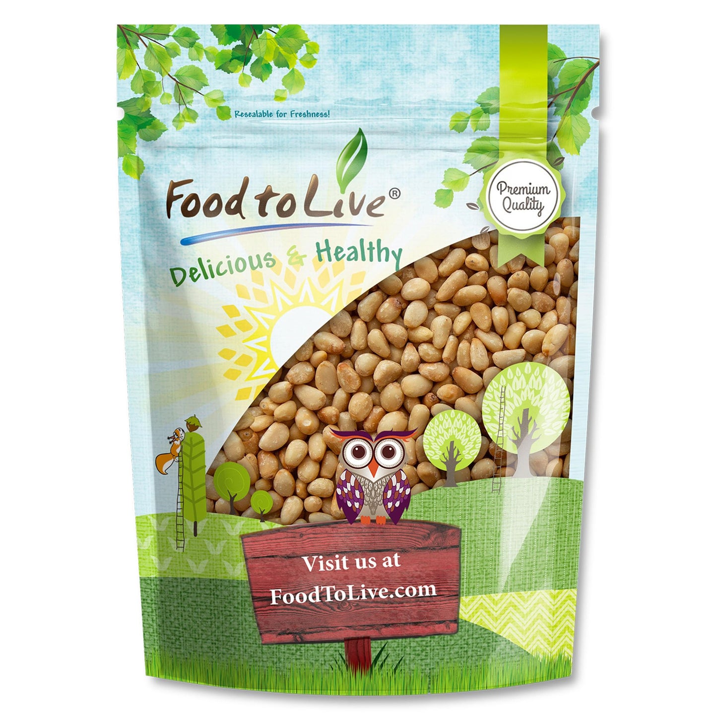 Food to Live Dry Roasted Pine Nuts, Lightly Salted, 4 Pounds, Vegan, Kosher, No Oil Added