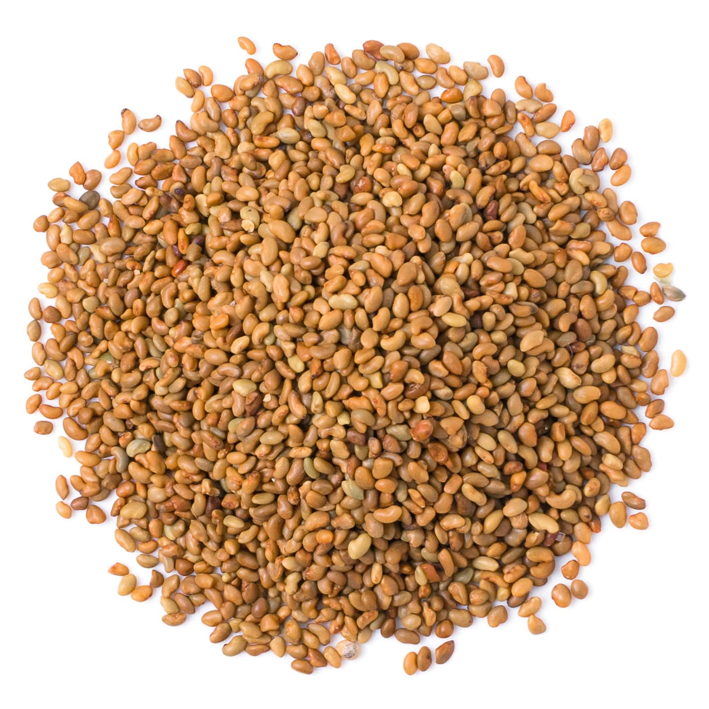 Food To Live Alfalfa Seeds For Sprouting, 8 Ounces – Edible Seeds, Pure, Vegan, Kosher, Bulk. Rich In Vitamin K & C. High Germitation Rate. Grow Sprouts, And Microgreens For Salad, Sandwiches, Rolls.